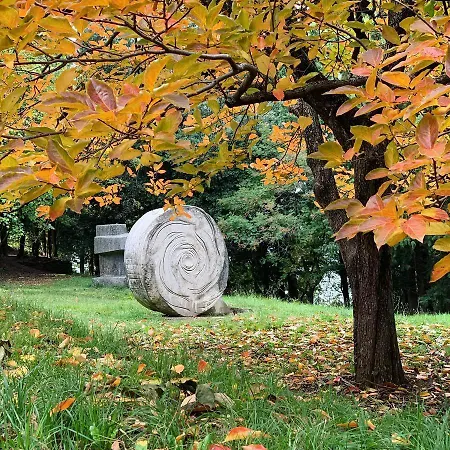 Sirena Floating House * 波尔托罗